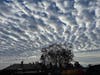 The sky over Alameda, Calif.