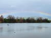 A full rainbow over Lake Elizabeth in Fremont, Calif.