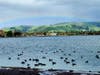 A full rainbow over Lake Elizabeth in Fremont, Calif.