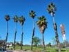 Central Park in Fremont, Calif.