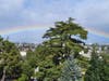 Full rainbow in Burlingame, Calif.