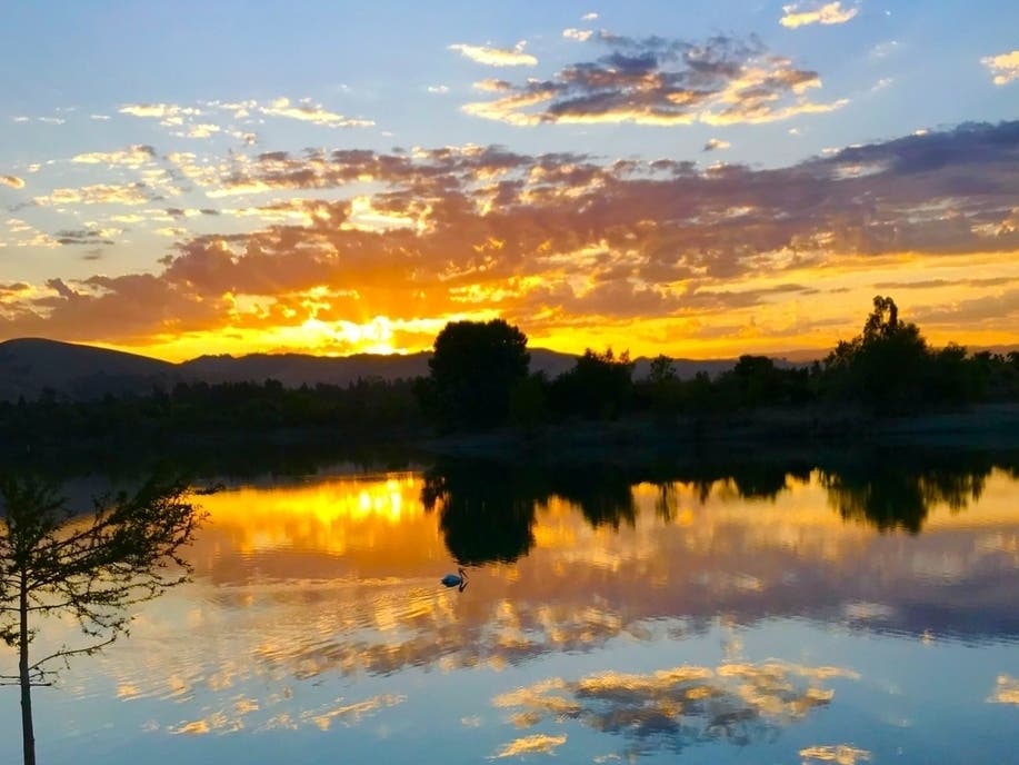 Quarry Lakes Regional Park, Fremont, Calif.