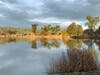 Lake Elizabeth in Central Park, Fremont, Calif.