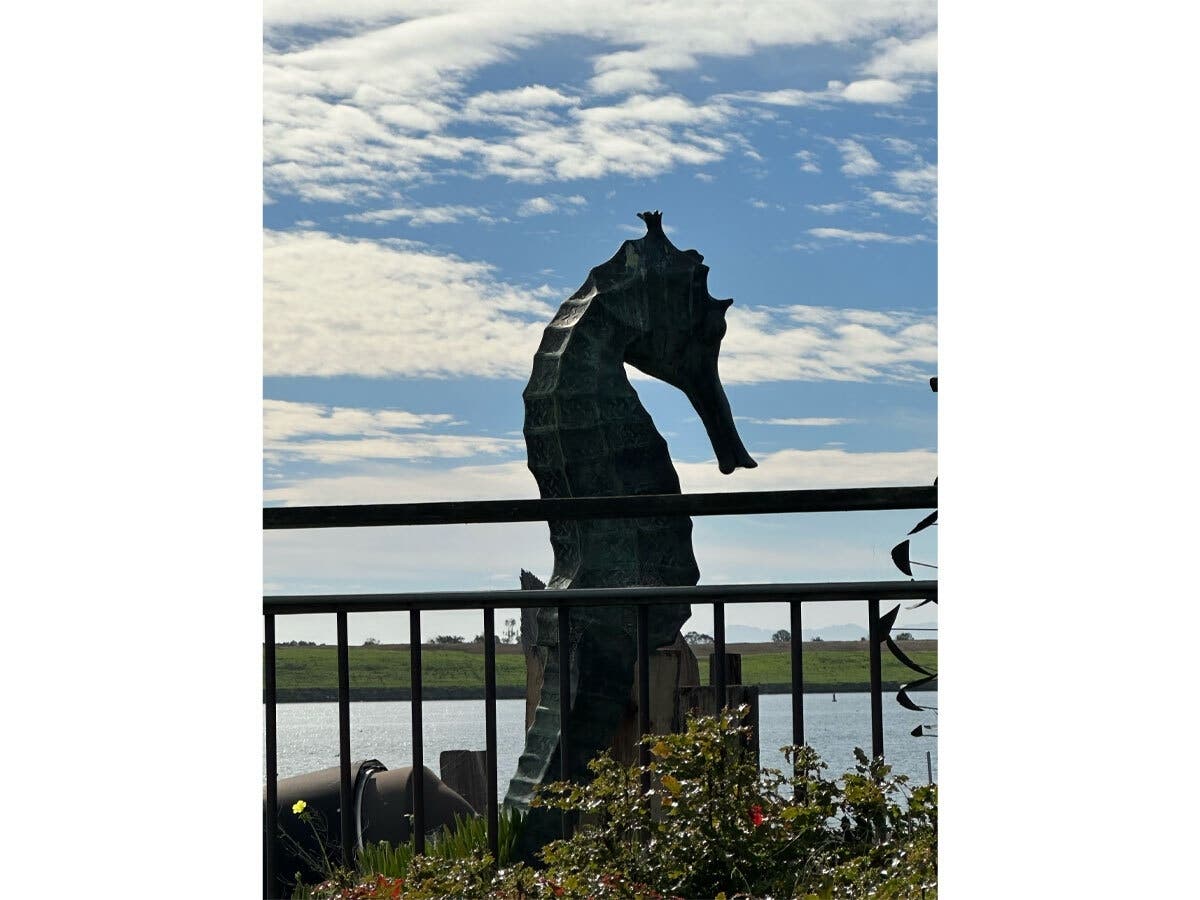 Seahorse sculpture in Alameda, Calif.