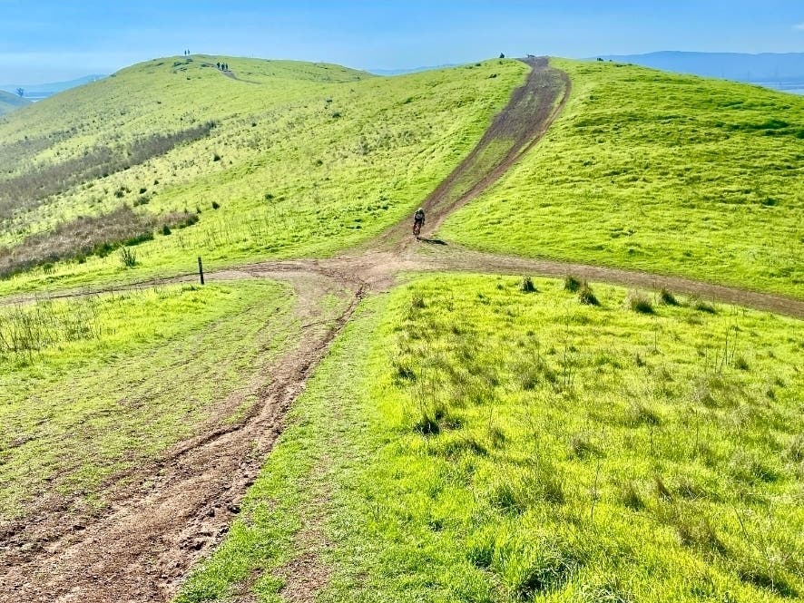 Coyote Hills Regional Park in Fremont, Calif.