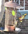 Ice was dripping from the bird feeder roof. 