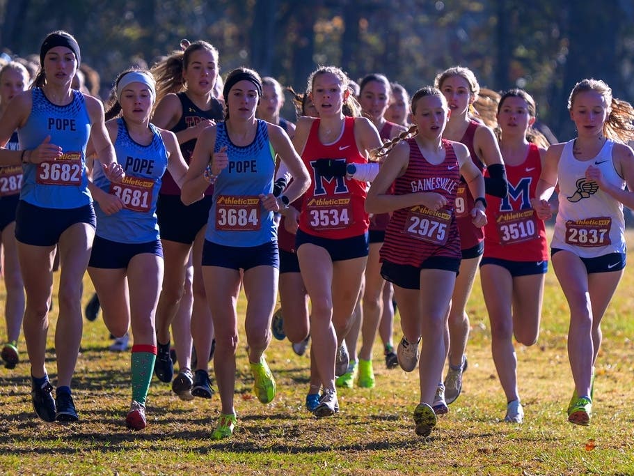 Eagle Cross Country Teams Qualify for State Meet | Alpharetta, GA Patch