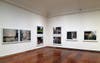 Harlem: In Situ gallery view