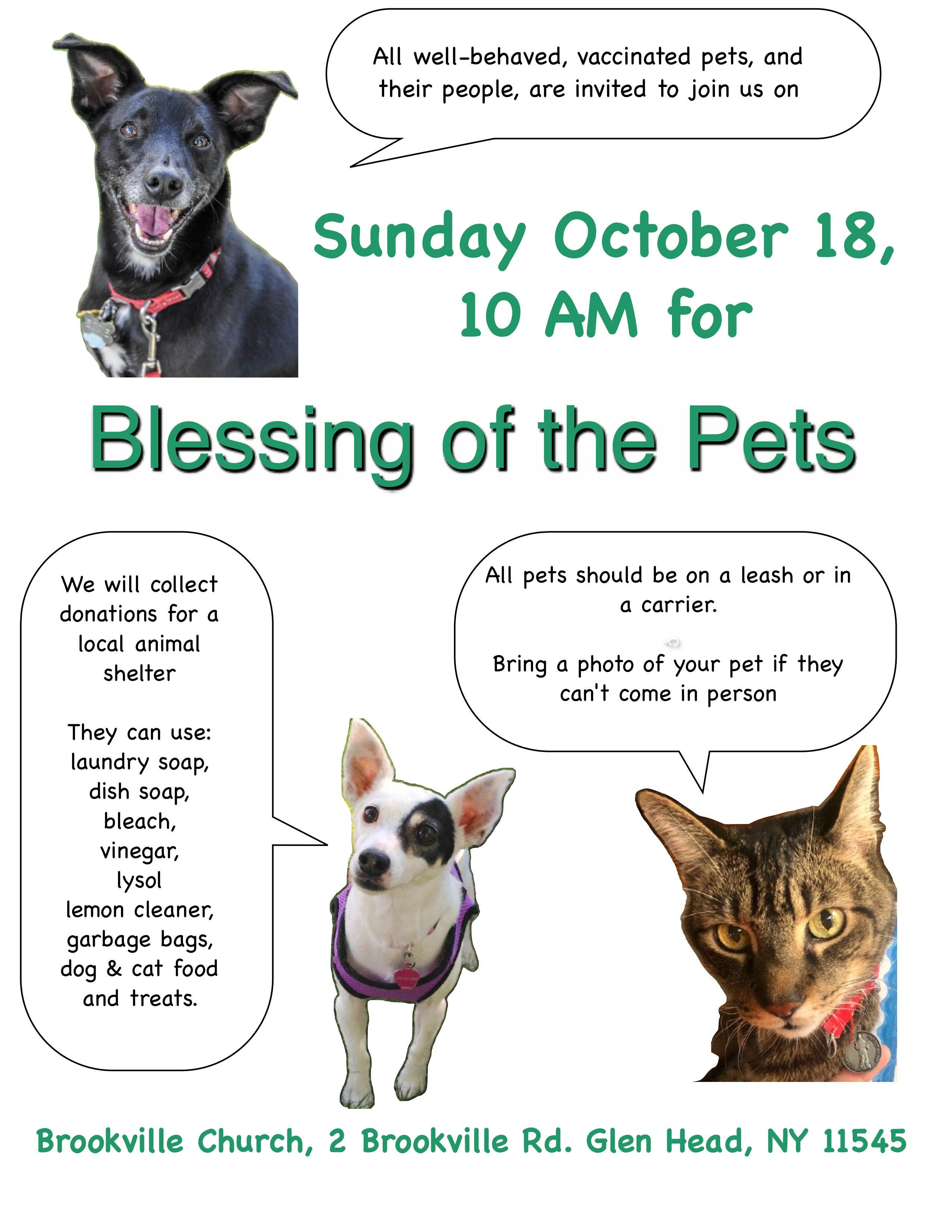Blessing of the Pets