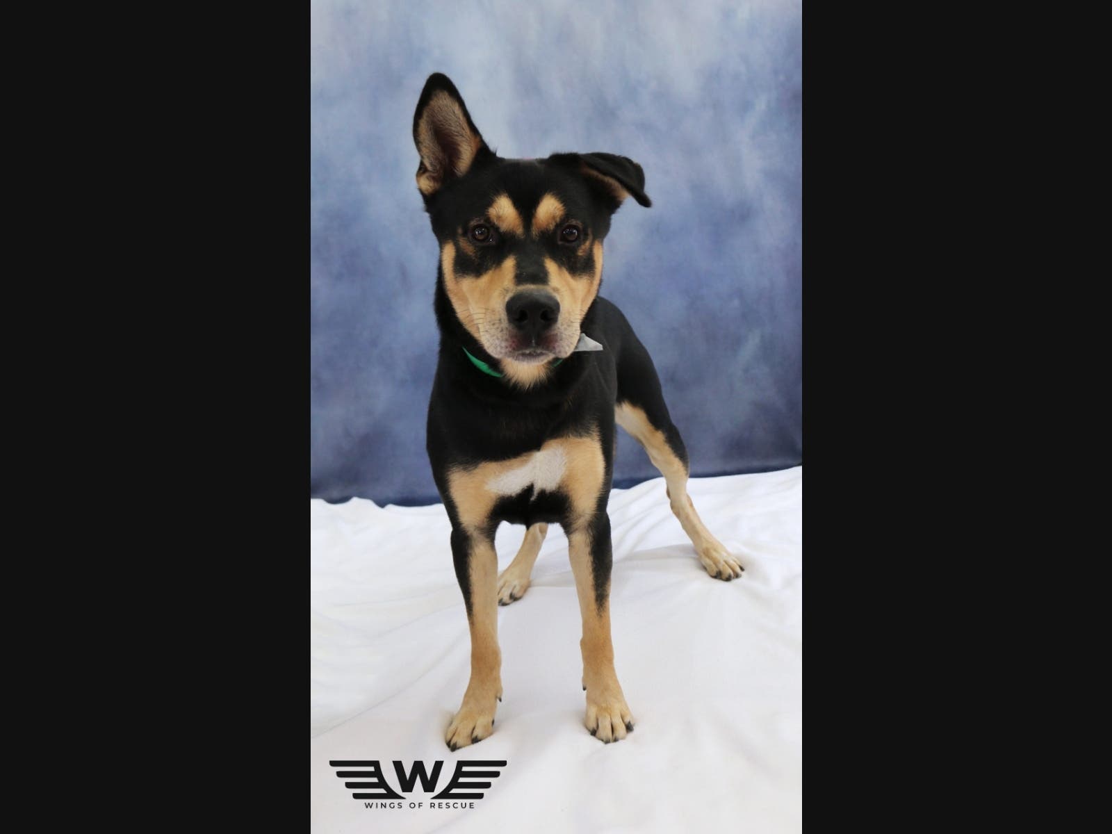 News small post card thumbnail