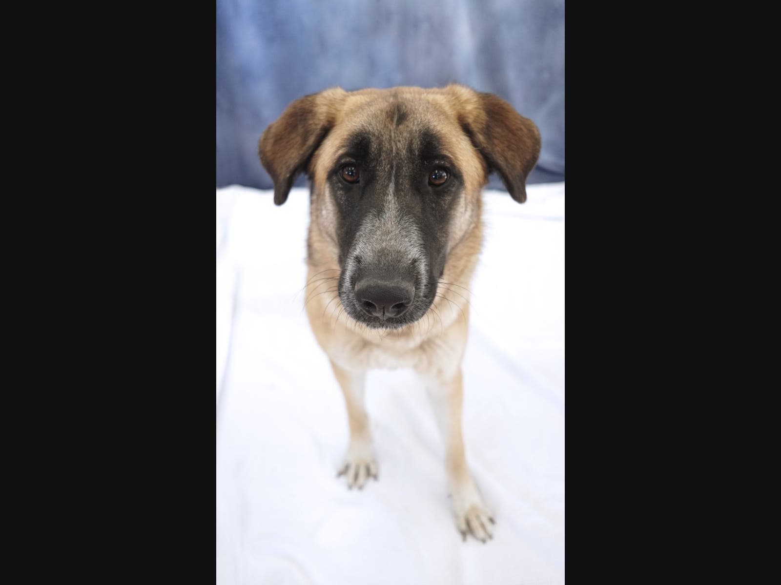 She's a fast friend.