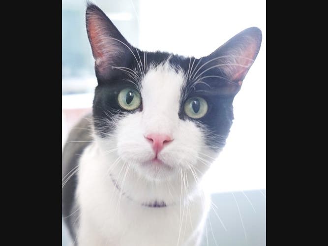 He just wants to play.