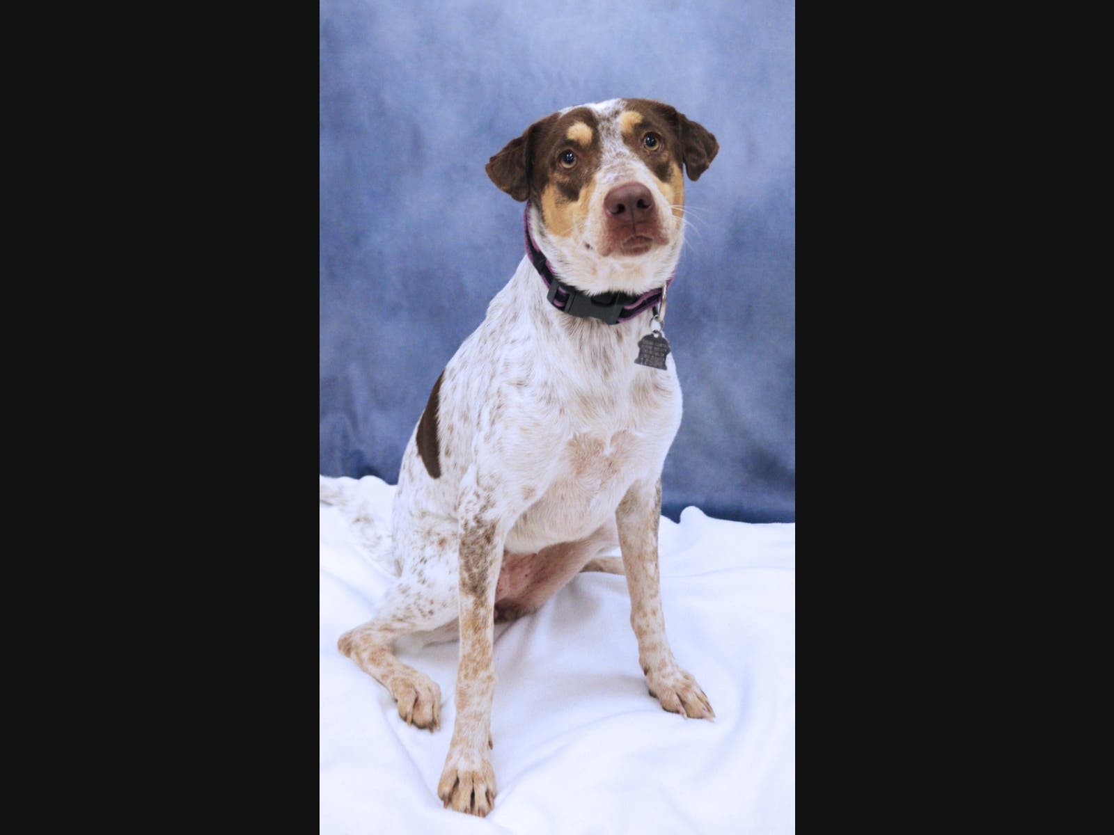 She moved three times.