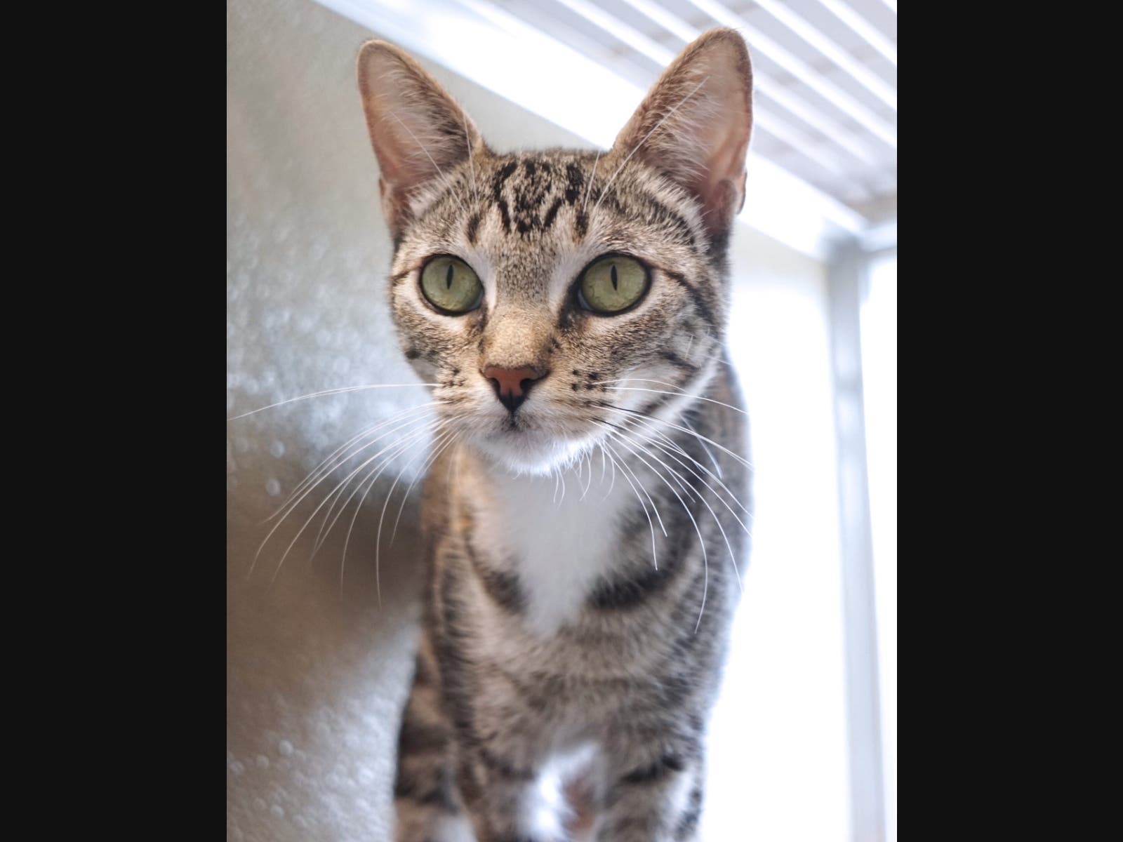 Time to start her new life. 