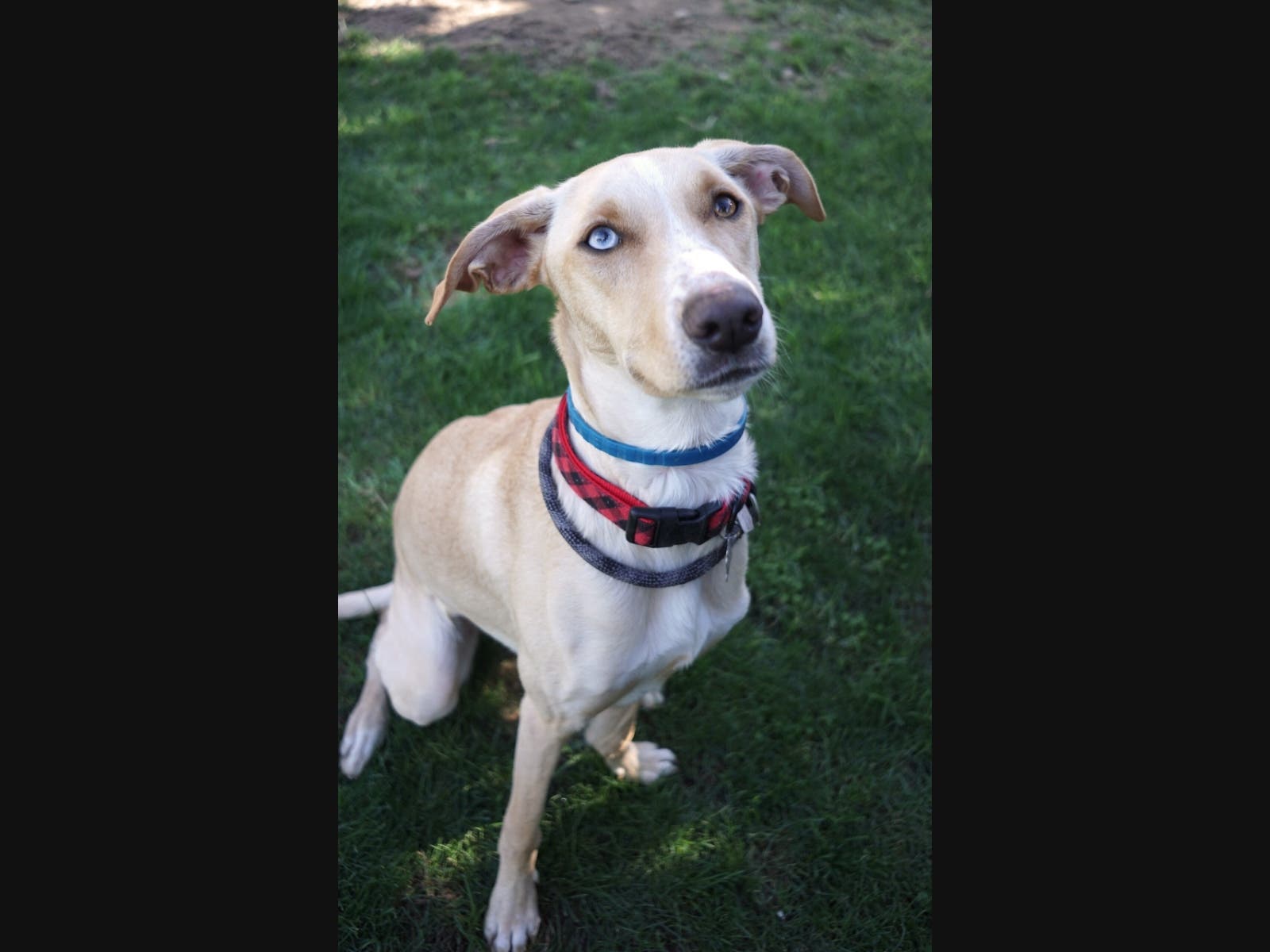 Give her a fresh start.