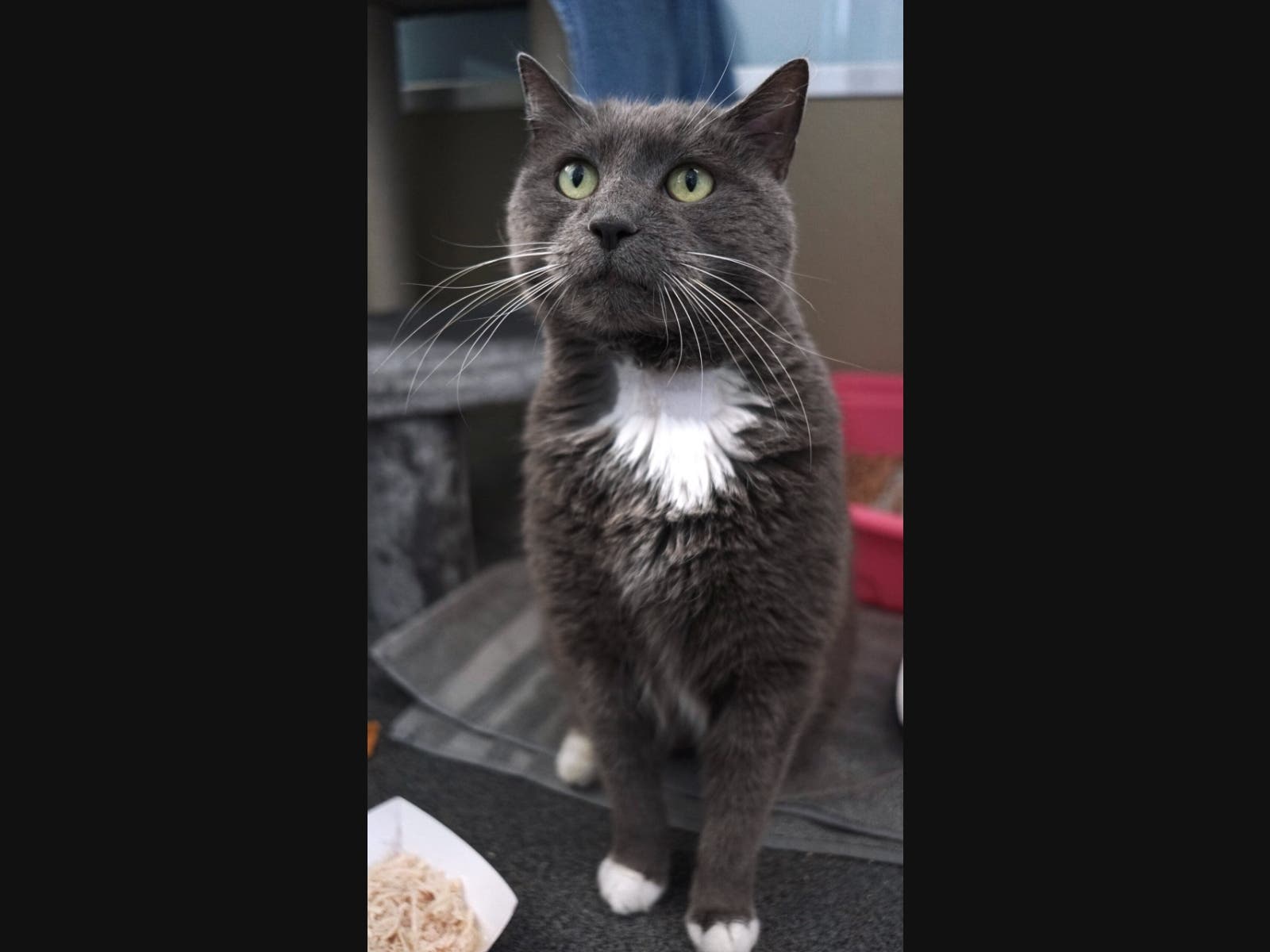 She needs your time. 