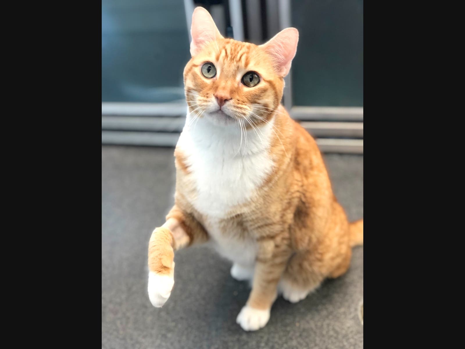 He needs a safe place.