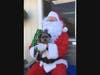 Santa Paws is comin' to town. 