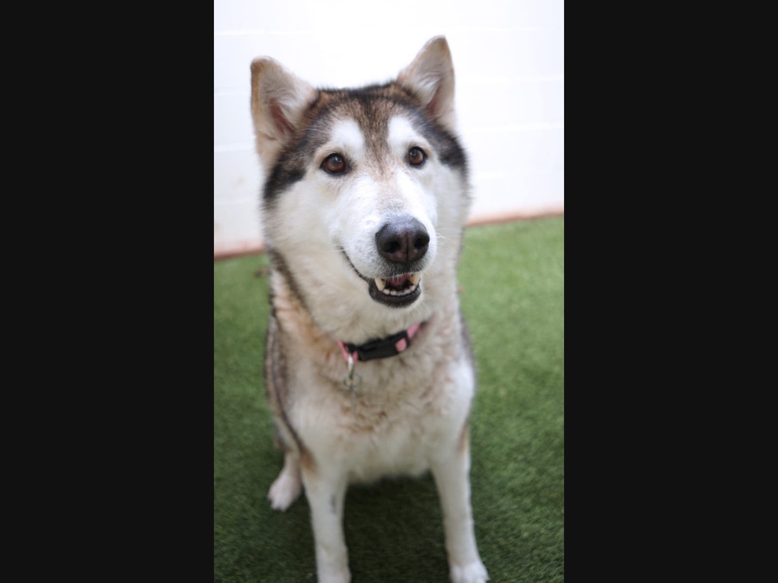 She loves to cuddle.