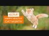 Keep cats happy. 