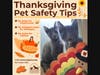 Thanksgiving pet safety. 