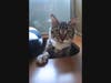 She loves being touched. 
