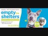 Empty the shelters and save. 