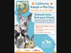 California Adopt a Pet Day. 