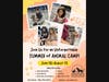 Summer Camp 2025 