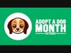 Adopt a Shelter Dog. 