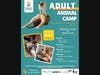Adult Animal Camp. 