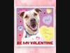 Be my Valentine. 