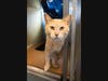 Pet him a little. 