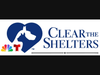Clear the Shelters
