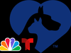 Clear the Shelters