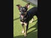 Don't stop petting. 