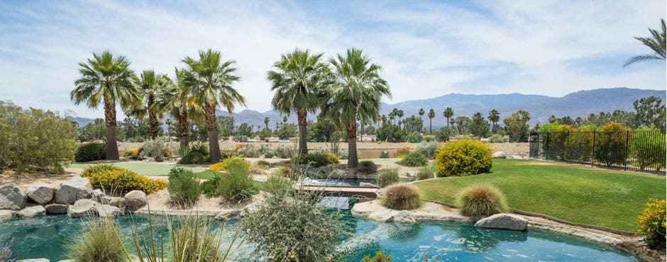 Desert 55 Plus Homes for Sale