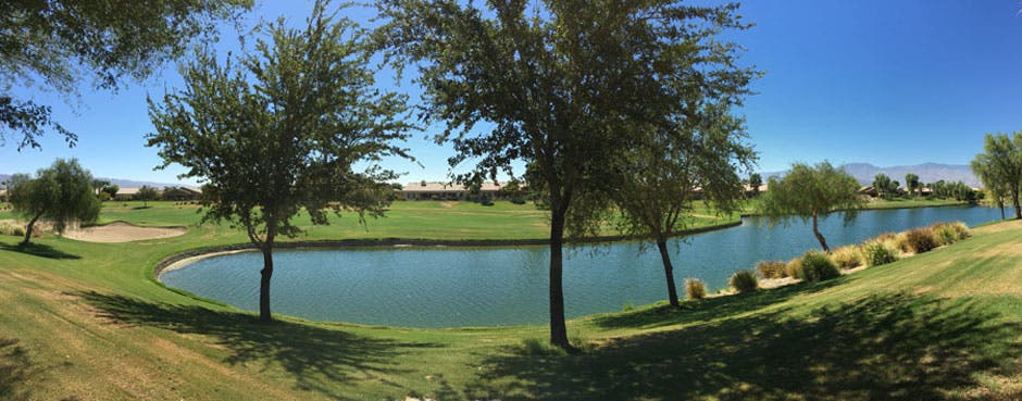 Palm Desert Sun City Homes for Sale