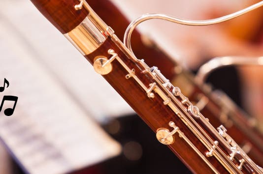 PSO Soundtracks: Meet the Bassoon