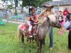 Pony Rides