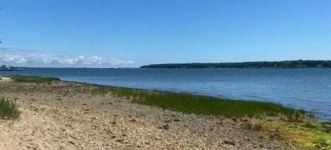 Peconic Bay: A Natural and Human History