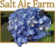 Hydrangea Talk at Salt Air Farm