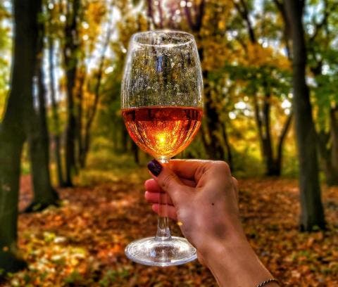 Wine Tasting Walking Tour at Peconic Bay Vineyard