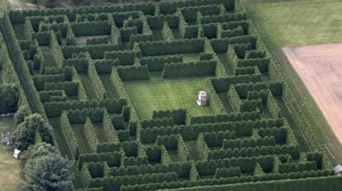 Shamrock Christmas Tree Farm's Evergreen Hedge Maze Tour