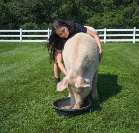 Critterville Farm Sanctuary Private Tour