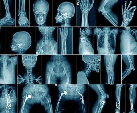 Navigating Radiology 