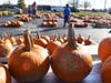 Trinity Lutheran Church pumpkin patch is open until October 31st. Hours are Saturday 9AM-4PM, Sunday 9AM-2PM and Monday-Friday 10AM-6PM. Funds go to Feed My Starving Children MOBILEPACK. 