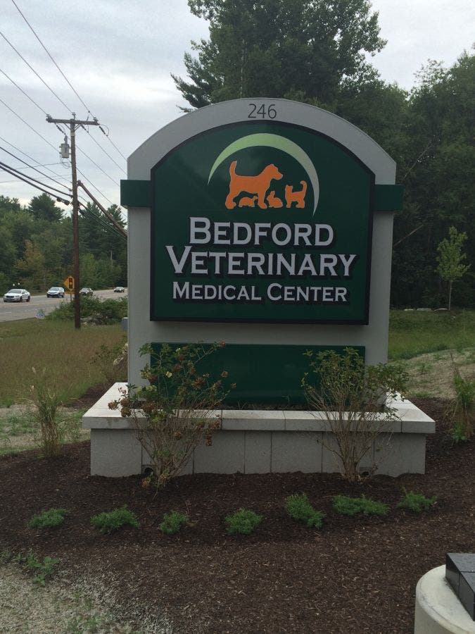 Bedford Veterinary Medical Center Opens on Route 101 Bedford, NH Patch