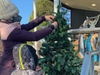 Parker Devine and his mom decorate the Wishing Tree on the Foxboro Common in December 2020. 