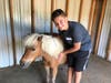 Student Drew Trinagel shows his love for the animals at Pal-O-Mine while caring for one of the miniature horses. 